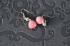 Fraises