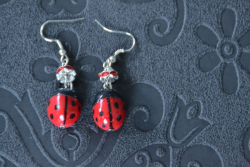 Boucles d'oreilles Coccinelle