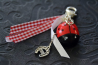 Porte-clés Coccinelle