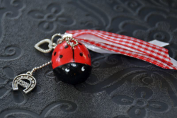 Coccinelle