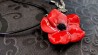 Coquelicot