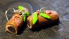 Boucles d'oreilles  Bûches de Noël au café